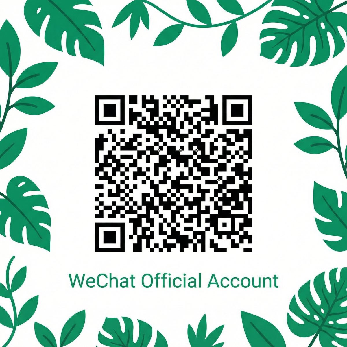 大象传媒公众号